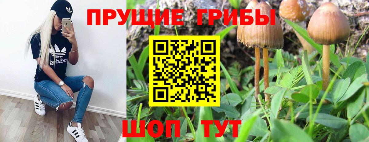 Еманжелинск  Галлюциногенные грибы прущие грибы  Вход с VPN 